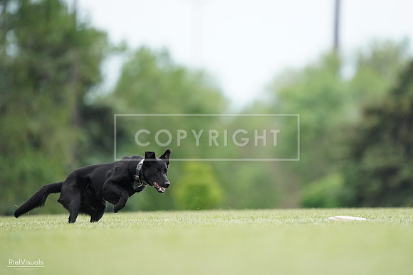 RielVisuals_20240525_160628_SJR03447