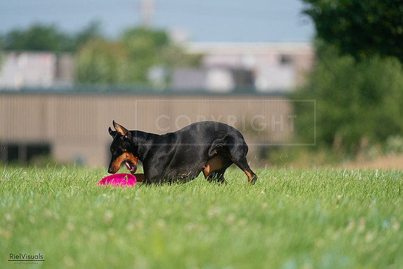 RielVisuals_20240727_100531_SJR08519