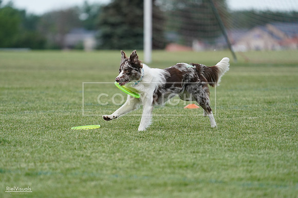 RielVisuals_20240525_135141_SJR09749