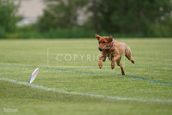 RielVisuals_20240525_160839_SJR03561
