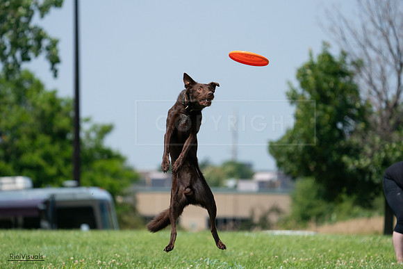 RielVisuals_20240727_133523_SJR07802