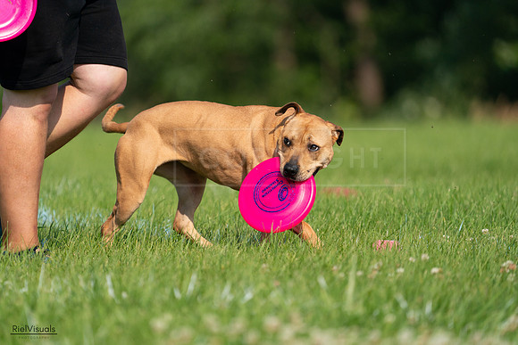 RielVisuals_20240727_093147_SJR06700