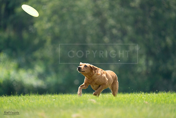 RielVisuals_20240727_122423_SJR05478