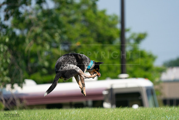 RielVisuals_20240727_094855_SJR07707