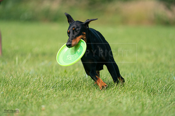 RielVisuals_20240728_103556_SJR08643