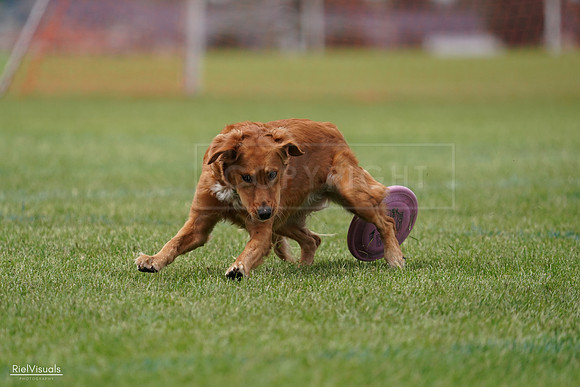RielVisuals_20240527_142114_SJR02472