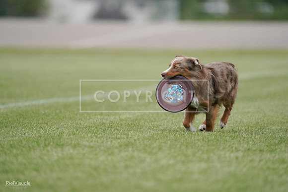 RielVisuals_20240525_163616_SJR05014