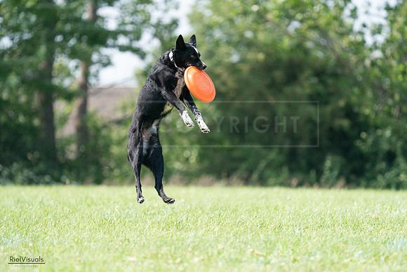 RielVisuals_20240728_143733_SJR08717