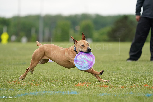 RielVisuals_20240526_131540_SJR07300