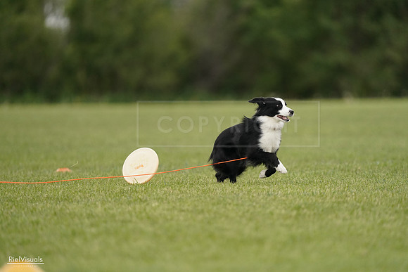 RielVisuals_20240527_143024_SJR02965