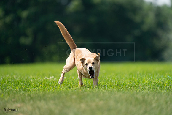 RielVisuals_20240727_120046_SJR04517