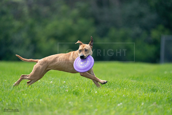RielVisuals_20240728_131318_SJR05430