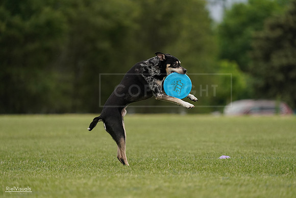 RielVisuals_20240526_134427_SJR08892