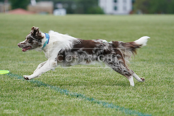 RielVisuals_20240525_135130_SJR09722