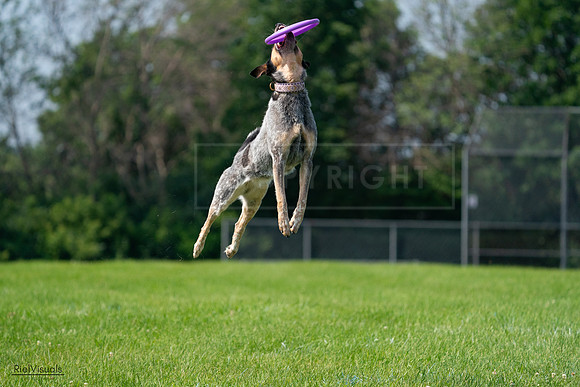RielVisuals_20240728_103207_SJR08386