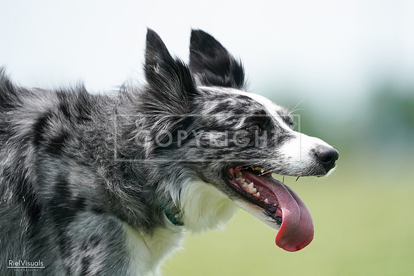 RielVisuals_20240525_124516_SJR01173