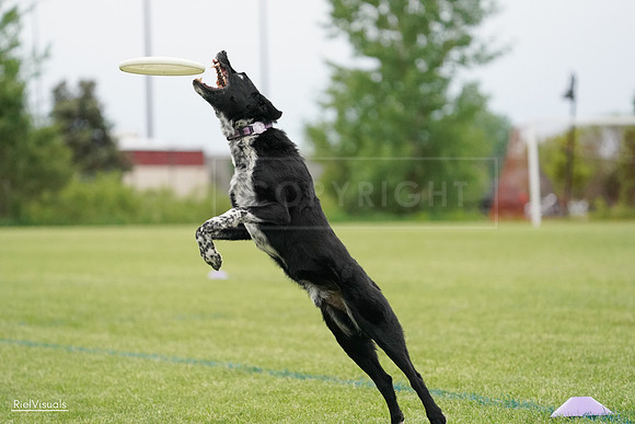 RielVisuals_20240526_132744_SJR07880