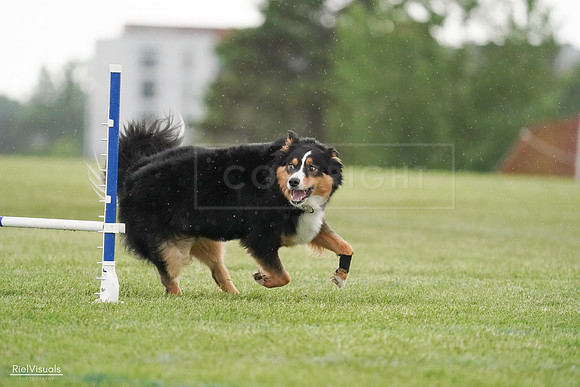 RielVisuals_20240526_094629_SJR01013