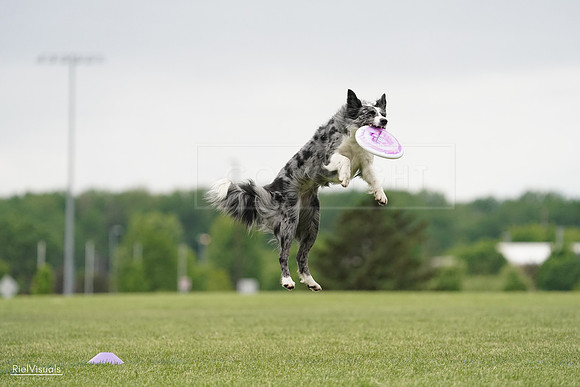 RielVisuals_20240526_133218_SJR08146