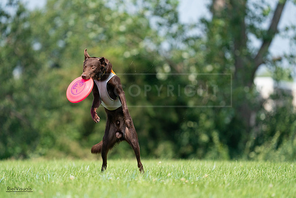 RielVisuals_20240727_114643_SJR03914