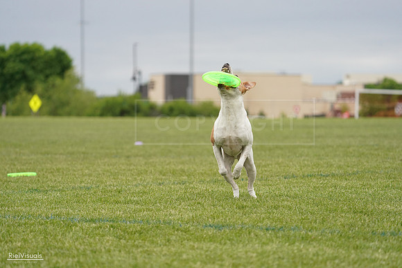 RielVisuals_20240526_134103_SJR08683