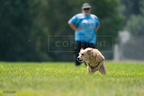 RielVisuals_20240727_120010_SJR04464