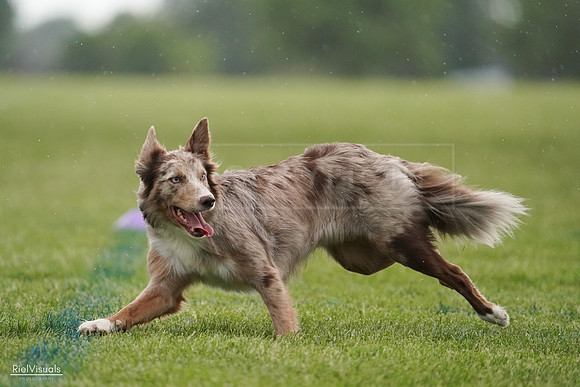 RielVisuals_20240526_092520_SJR09951