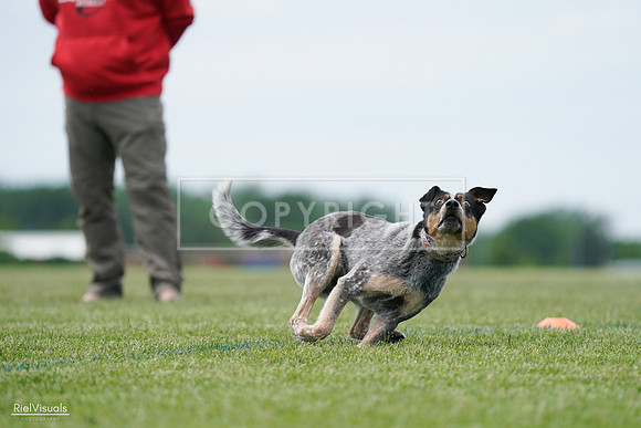 RielVisuals_20240525_125129_SJR01367