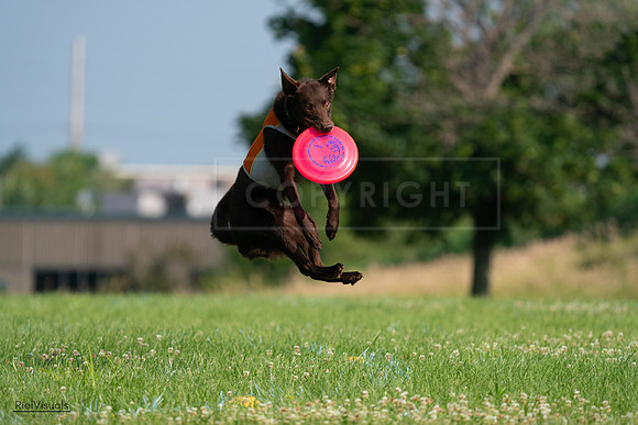 RielVisuals_20240727_092526_SJR06312