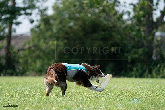 RielVisuals_20240728_144720_SJR09125