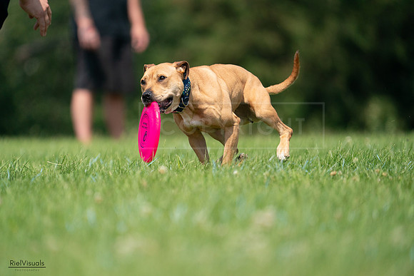 RielVisuals_20240727_115234_SJR04174