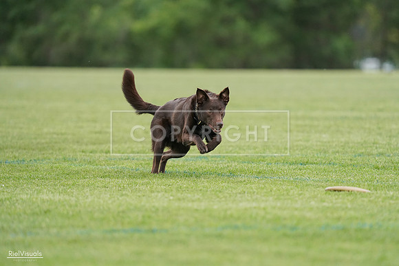 RielVisuals_20240525_162108_SJR04221