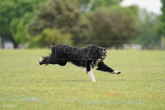 RielVisuals_20240527_131907_SJR09317