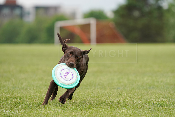 RielVisuals_20240527_132521_SJR09709