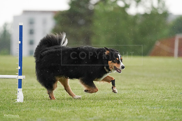RielVisuals_20240526_094610_SJR00980