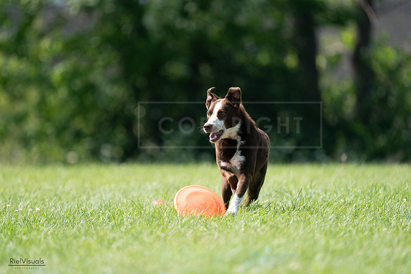 RielVisuals_20240728_152016_SJR00591