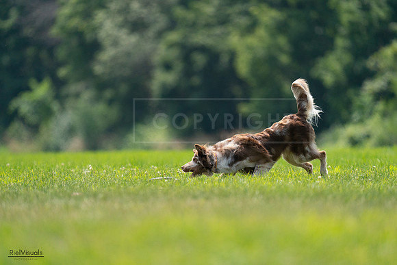 RielVisuals_20240727_131200_SJR07141