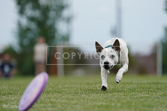 RielVisuals_20240525_160430_SJR03407