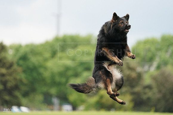 RielVisuals_20240527_132926_SJR09958