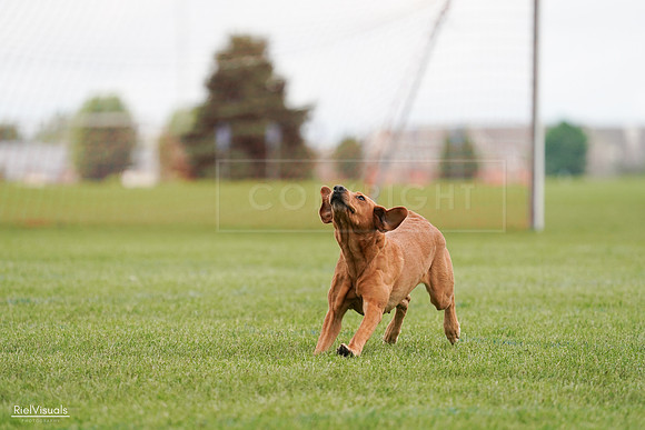 RielVisuals_20240527_141102_SJR01760
