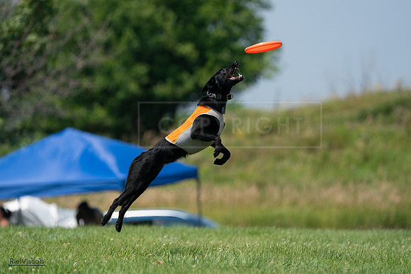 RielVisuals_20240727_134440_SJR08206