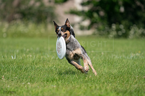RielVisuals_20240728_103309_SJR08509