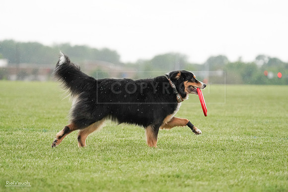 RielVisuals_20240526_094625_SJR01010