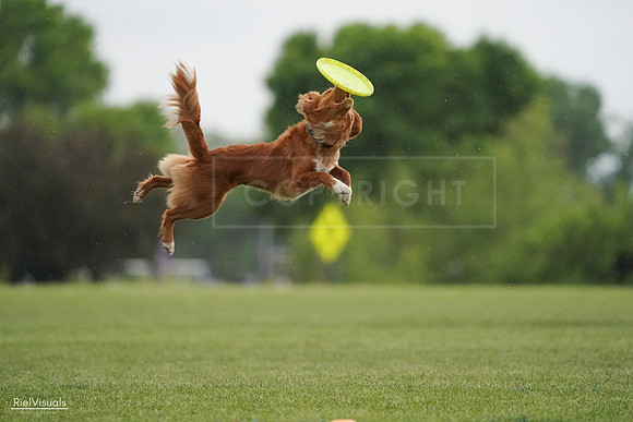 RielVisuals_20240526_093131_SJR00286