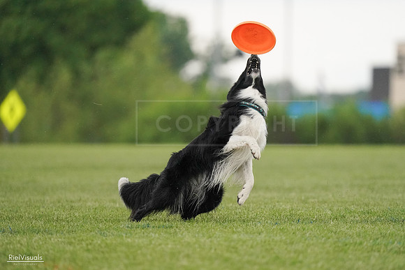 RielVisuals_20240526_095517_SJR01380