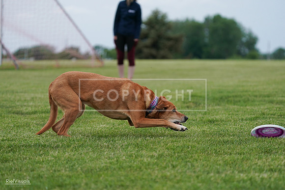 RielVisuals_20240525_161933_SJR04151
