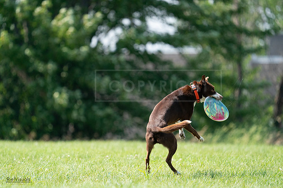 RielVisuals_20240728_144858_SJR09217