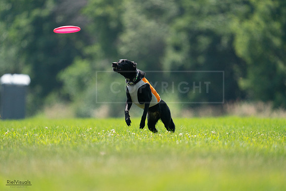 RielVisuals_20240727_130541_SJR06835