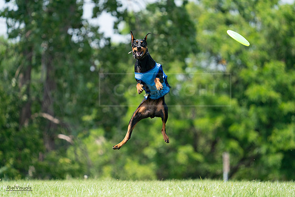 RielVisuals_20240728_134722_SJR07152