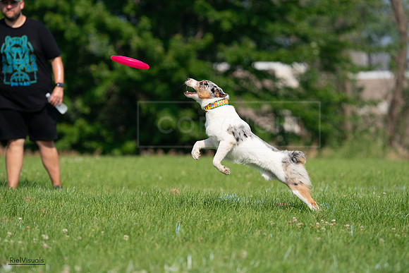 RielVisuals_20240727_100219_SJR08289